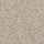 Mohawk Carpet: Bold Creation Carbon Dust